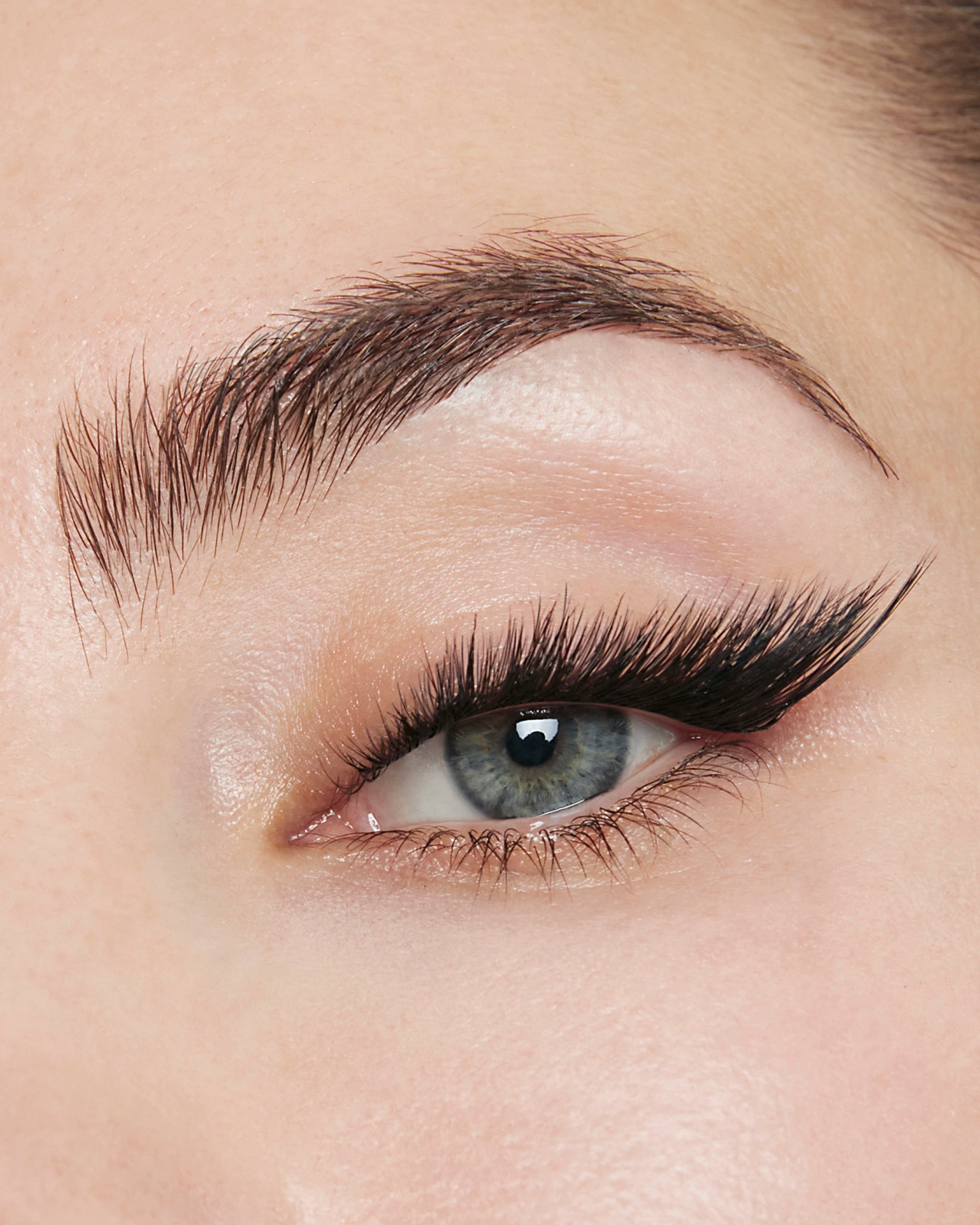 Edge X Lash Refill